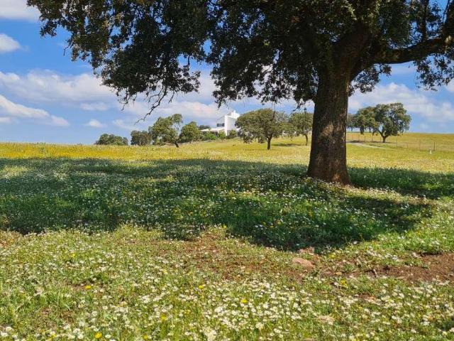 Finca en venta en La Fernandina, La Carolina