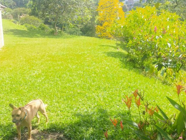 Finca en venta en Antioquia, Valle de Aburrá