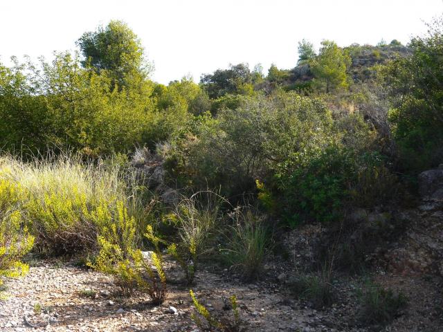 Finca en venta en la Safor, Valencia