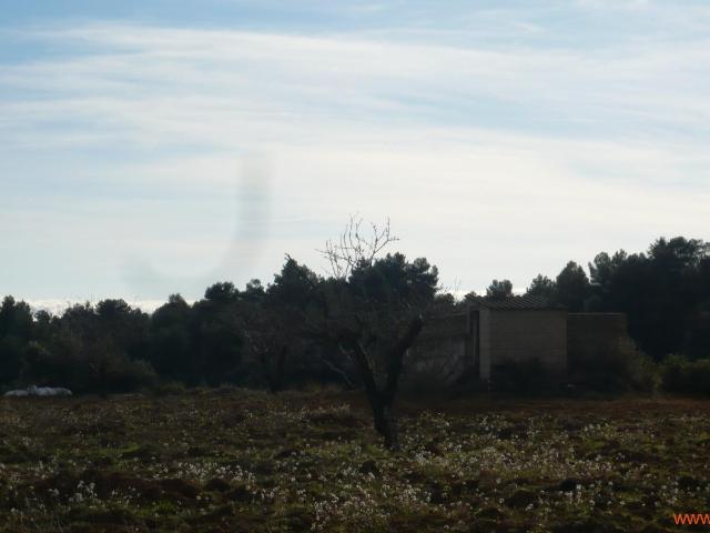 Finca en venta en Matarraña / Matarranya, La Fresneda