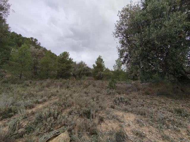 Finca en venta en Matarraña / Matarranya, La Fresneda