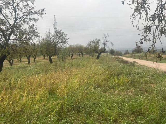 Finca en venta en Matarraña / Matarranya, La Fresneda