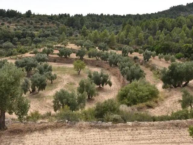 Finca en venta en Matarraña / Matarranya, La Fresneda