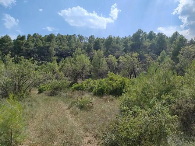 Finca en venta en Matarraña / Matarranya, La Fresneda