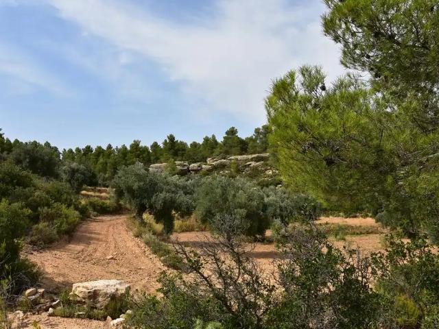 Finca en venta en Matarraña / Matarranya, La Fresneda