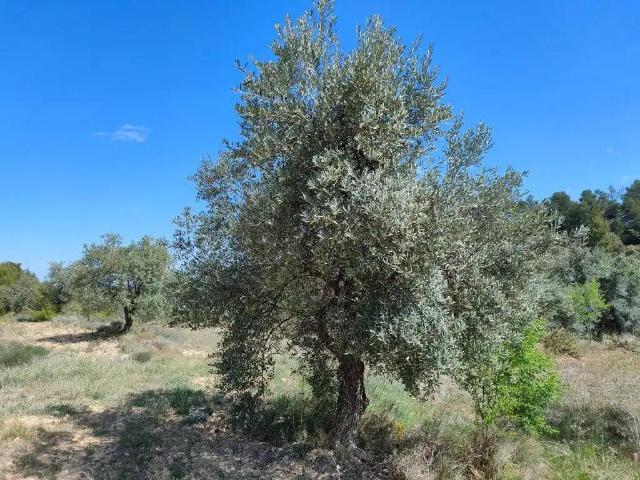 Finca en venta en Matarraña / Matarranya, La Fresneda
