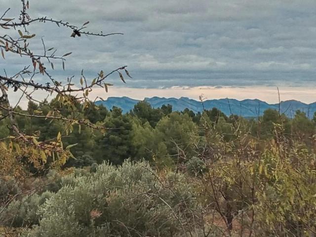 Finca en venta en Matarraña / Matarranya, La Fresneda