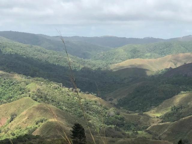 Terreno venta en Los Pozos