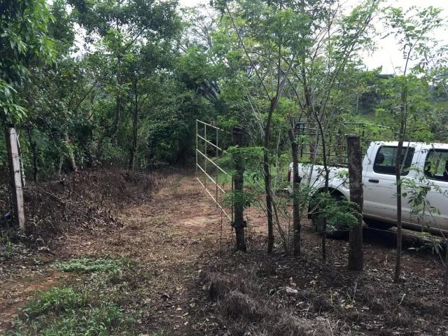Terreno venta en Los Pozos