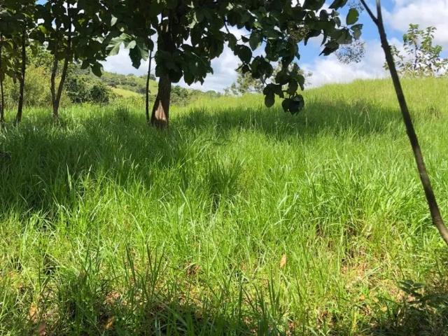Terreno venta en Los Pozos