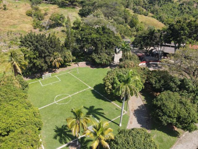 Finca En Venta En La Pintada En. V157658