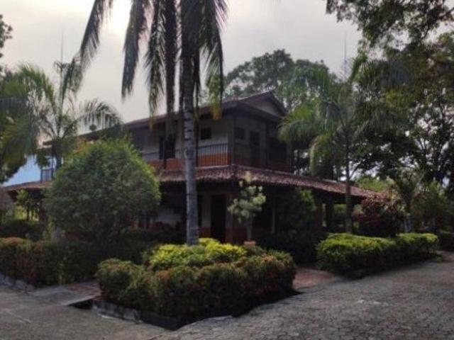Finca En Venta En La Pintada En. V157658