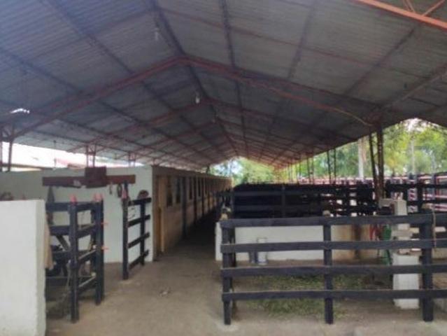 Finca En Venta En La Pintada En. V157658
