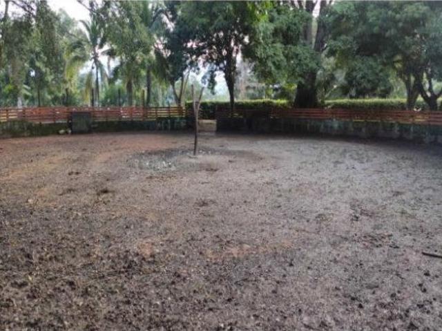Finca En Venta En La Pintada En. V157658