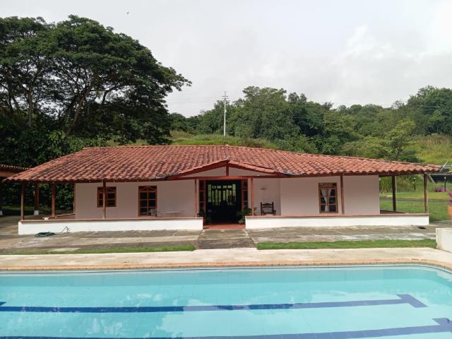 Finca En Venta En La Pintada En. V198676