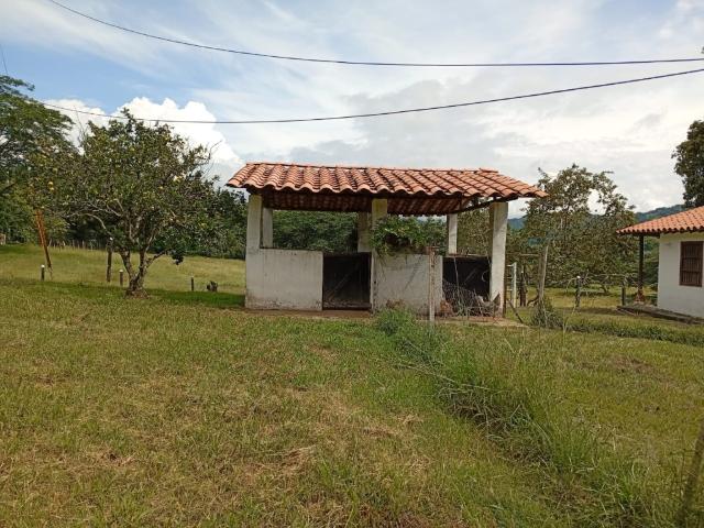 Finca En Venta En La Pintada En. V198676
