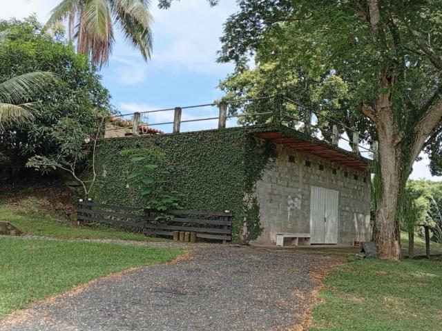 Finca En Venta En La Pintada En. V198676