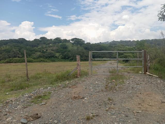 Finca En Venta En La Pintada En. V198676