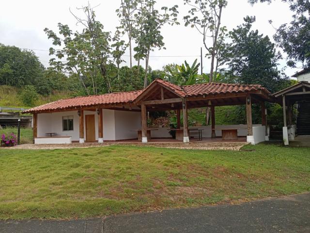 Finca En Venta En La Pintada En. V198676
