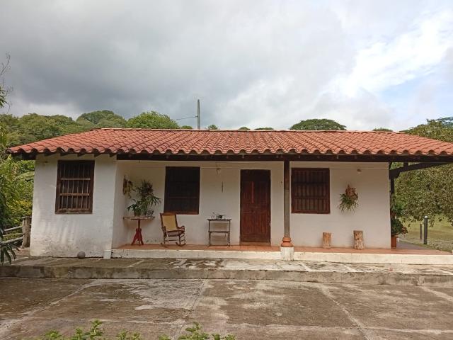 Finca En Venta En La Pintada En. V198676