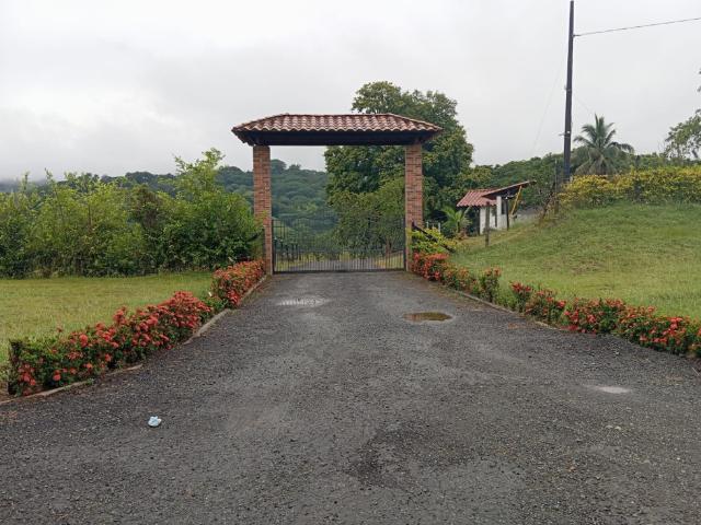 Finca En Venta En La Pintada En. V198676