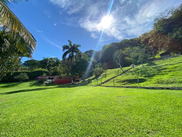 Finca En Venta En La Pintada En. V241636