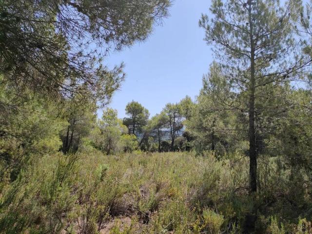 Finca en venta en Matarraña / Matarranya, La Portellada