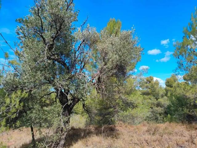 Finca en venta en Matarraña / Matarranya, La Portellada