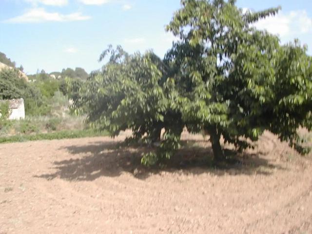 Finca en venta en Matarraña / Matarranya, La Portellada