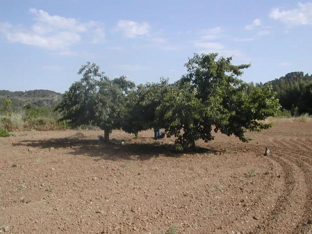 Finca en venta en Matarraña / Matarranya, La Portellada