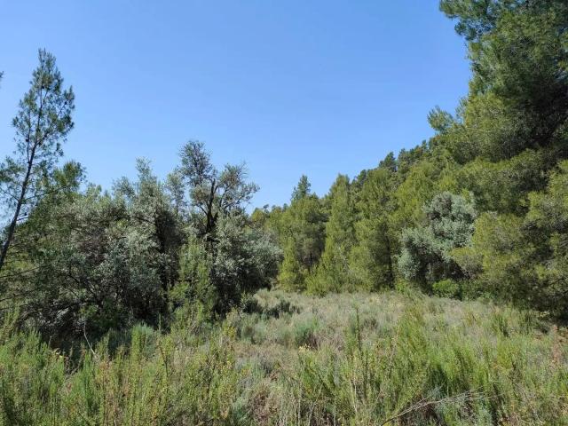 Finca en venta en Matarraña / Matarranya, La Portellada