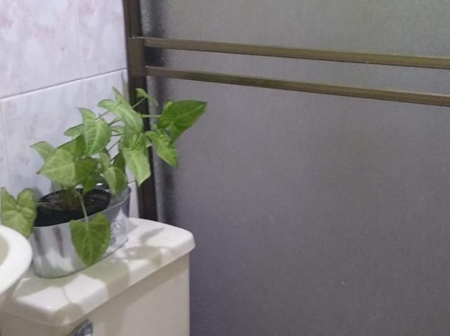 Finca En Venta En La Vega V179179