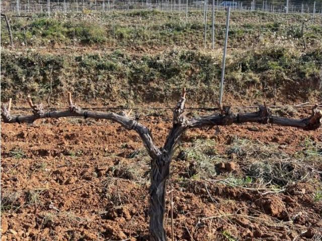 Finca en venta en Priorat, Catalunya