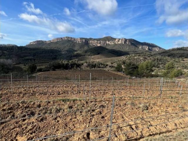 Finca en venta en Priorat, Catalunya