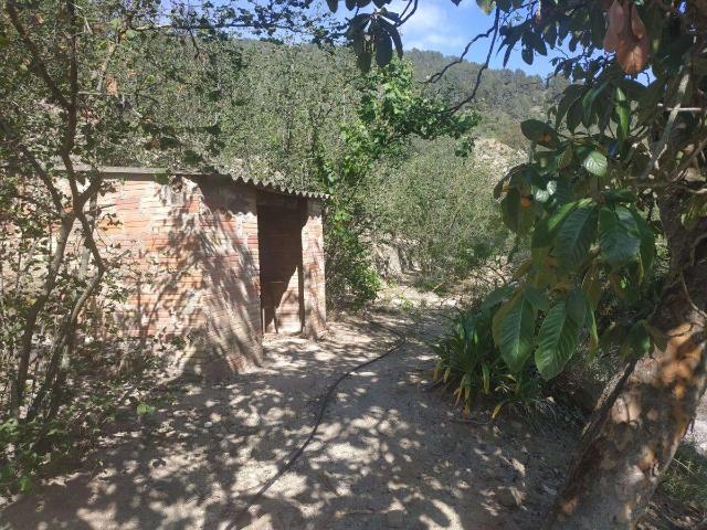 Finca en venta en L'aleixar