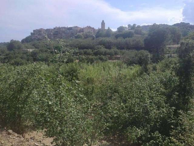 Finca en venta en Baix Camp, Catalunya