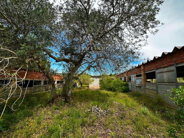 Finca en venta en L'ametlla De Mar, Tarragona