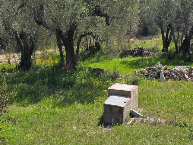 Finca en venta en l'Ametlla de Mar, Tarragona