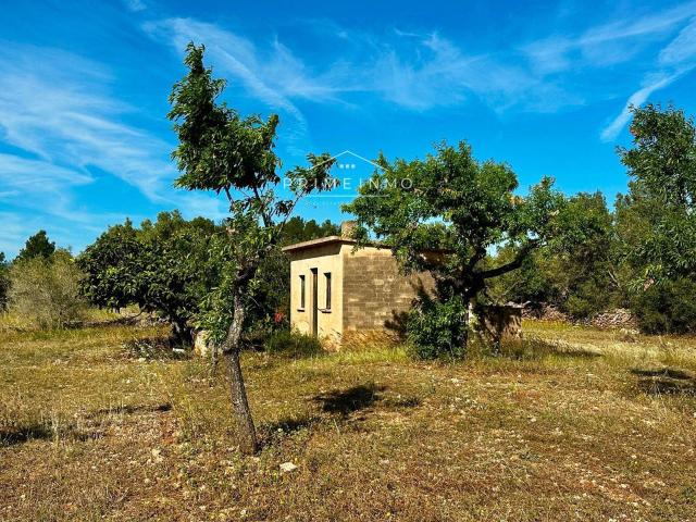 Finca en venta en L'ametlla De Mar