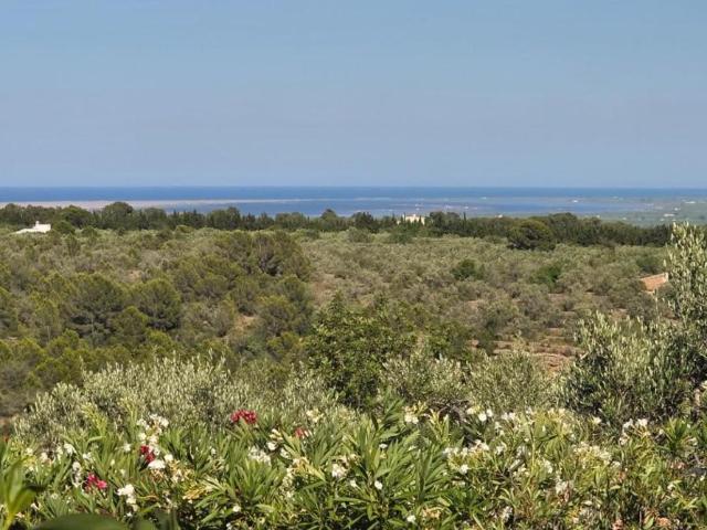 Finca en venta en Baix Ebre, Catalunya