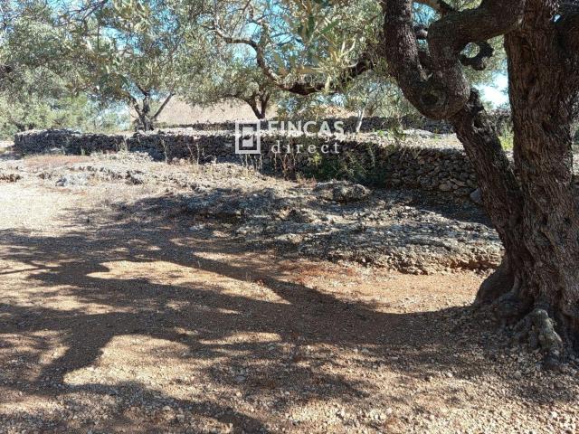Finca en venta en Baix Ebre, Catalunya