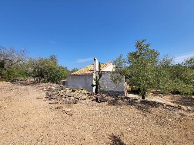 Finca en venta en L'ampolla