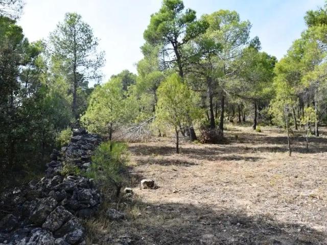 Finca en venta en Matarraña / Matarranya, Lledó