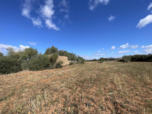 Finca en venta en Llucmayor