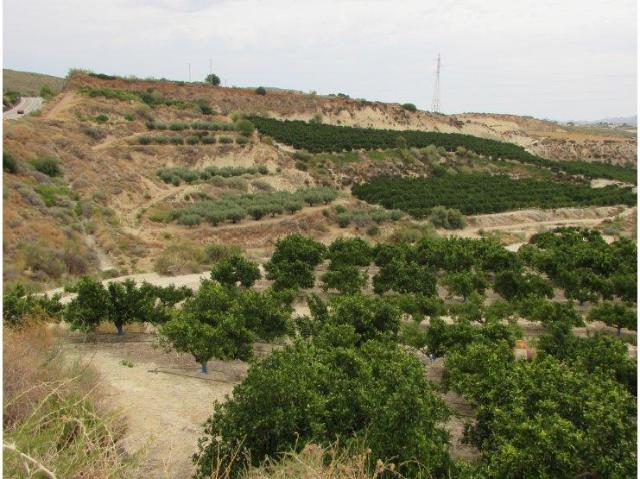 Finca en venta en Los Gallardos, Andalucía