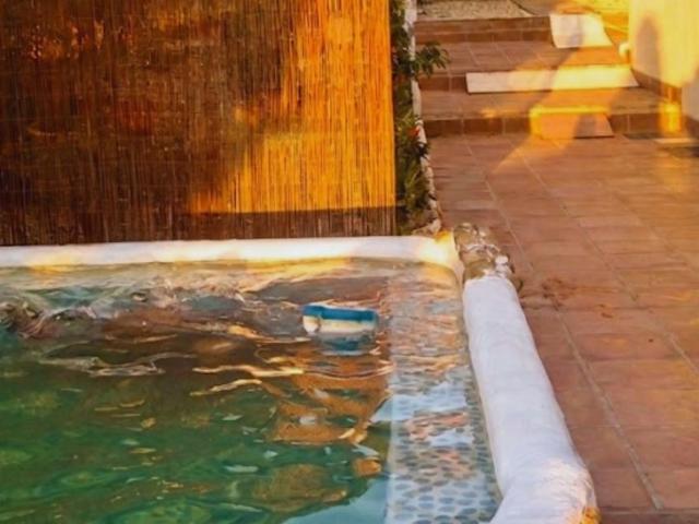 Finca en venta en El Condado, Andalucía