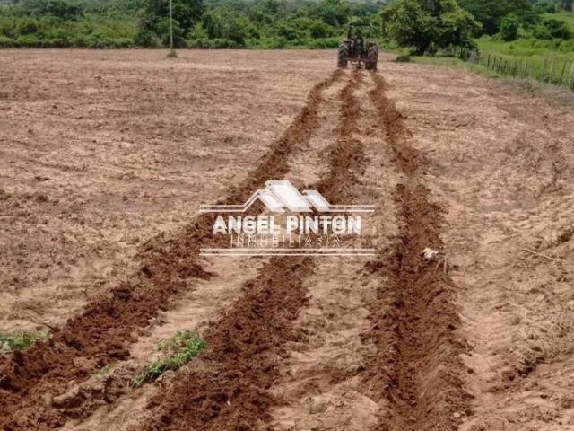 Terreno en venta en Machiques De Perijá, Zulia