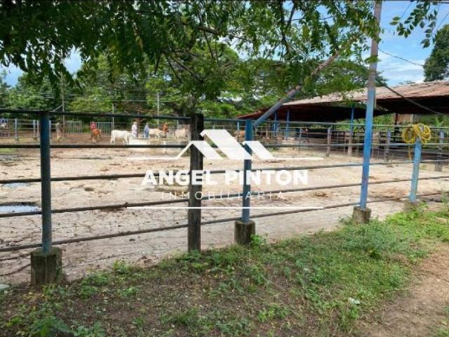 Terreno en venta en Machiques De Perijá, Zulia