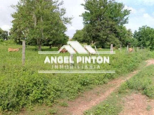 Terreno en venta en Machiques De Perijá, Zulia