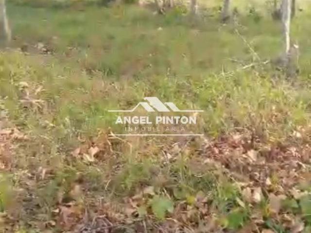 Terreno en venta en Machiques De Perijá, Zulia